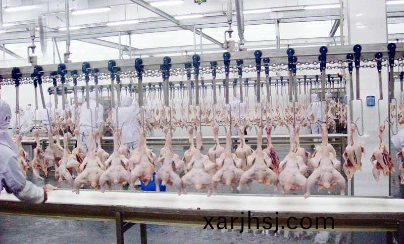 timg-(3).jpg timg-(3).jpg