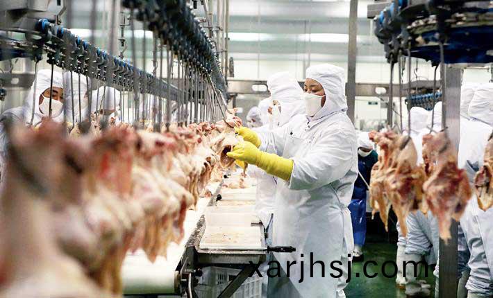 timg-(4).jpg timg-(4).jpg