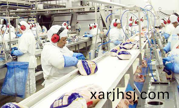 timg-(5).jpg timg-(5).jpg