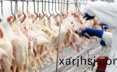 timg-(6).jpg timg-(6).jpg