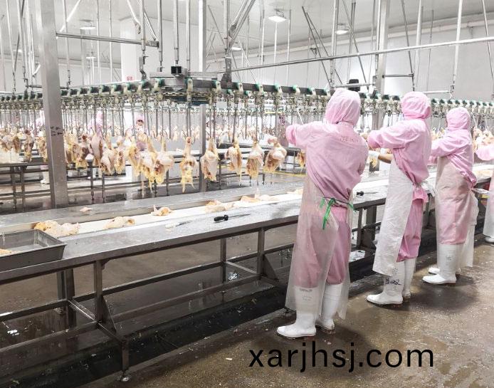 清(qing)洗(xi)懸掛